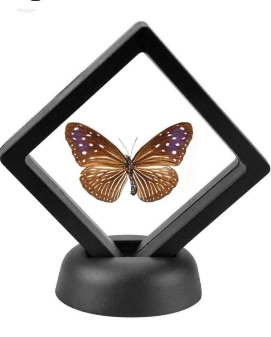 Floating Frame