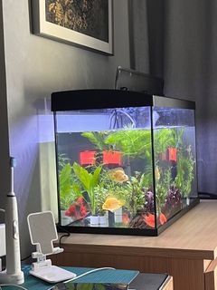 (Category: ) located in . Submitted by fisherrrr (Listing ID 1364710095, Image 1). Description: .