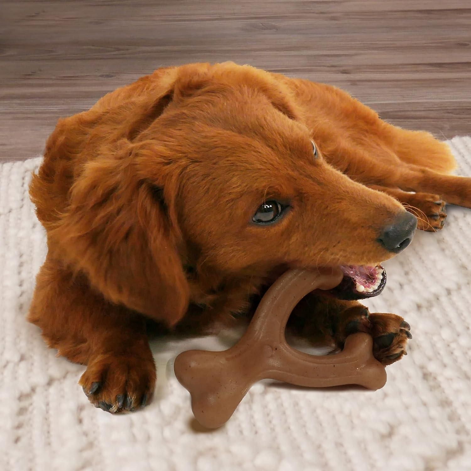 Nylabone Gourmet Style Strong Chew Toy Bundle, Chew Toys for Dogs, Bacon & Peanut Butter Flavor, Small/Regular (2 Count) (Category: Homes & Other Pet Accessories) located in Singapore. Submitted by homedealsg (Listing ID 1364691445, Image 3). Description: OUR MOST POPULAR SHAPES - Chew toy bundle includes 2 engaging designs dogs love FLAVOR YOU CAN SEE - Uniquely crafted with bold bits of gourmet flavor roasted throughout DURABLE DOG TOYS - Made 