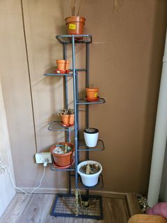 (Category: ) located in . Submitted by irathira (Listing ID 1364592608, Image 1). Description: .