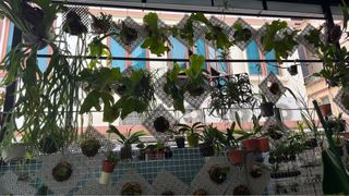 (Category: ) located in . Submitted by duxton (Listing ID 1364621710, Image 1). Description: .