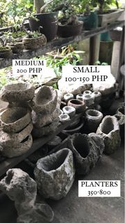 (Category: ) located in . Submitted by okbloomerph (Listing ID 1364629066, Image 1). Description: .