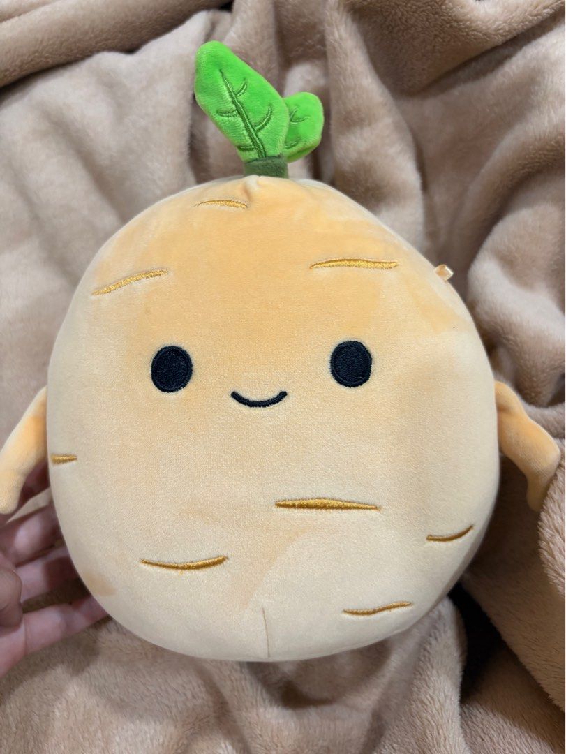 SquishMallow Plushi| Jyri | Ginseng Ginger | squishmallow (Category: Plushies & Soft Toys) located in Manila. Submitted by mmonsdeclutters (Listing ID 1364664533, Image 3). Description: Squishmallow Plushie Can send more pictures thru dm Rfs: Decluttering .