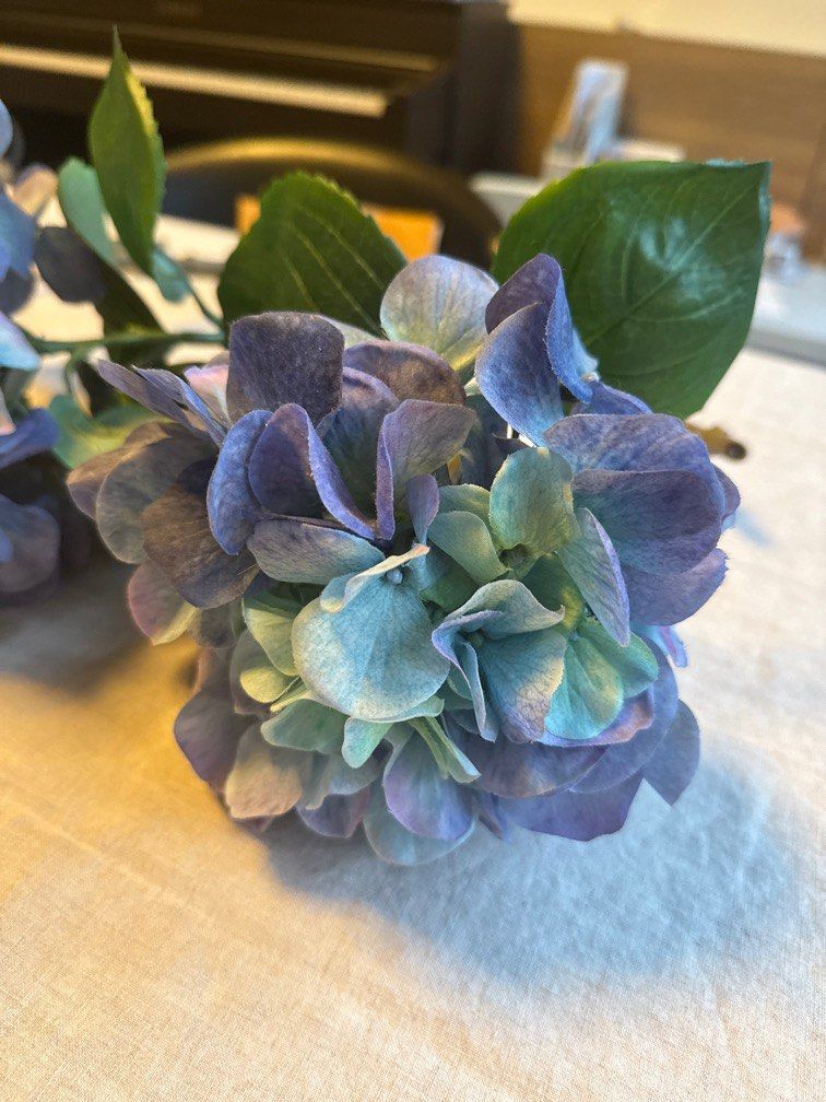 4 hydrangea blooms65075303199235111