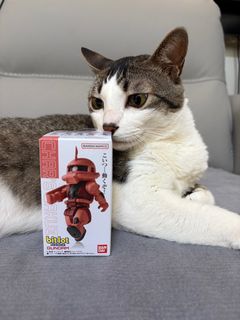（分類：）位於 。 由 kevin55699 提交（商品編號 1364815833，圖片 1）。簡介： 。