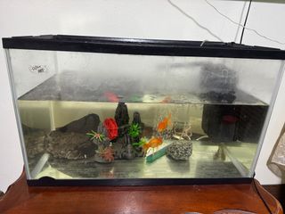 (Category: ) located in . Submitted by mafffy (Listing ID 1364919526, Image 1). Description: .