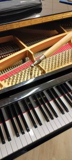 (Category: ) located in . Submitted by absolutemusicsvcs (Listing ID 1364810235, Image 1). Description: .