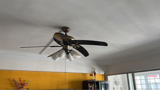 (Category: ) located in . Submitted by mjayakumar (Listing ID 1364814013, Image 1). Description: .
