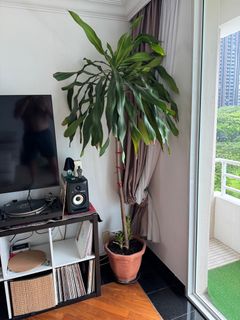 (Category: ) located in . Submitted by toddb-9023 (Listing ID 1364815783, Image 1). Description: .