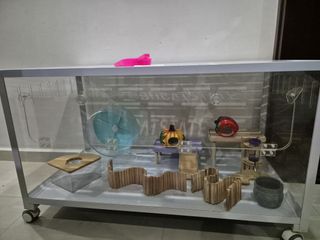(Category: ) located in . Submitted by eqahatiqah (Listing ID 1365060513, Image 1). Description: .
