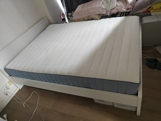 （分類：）位於 。 由 fa.sllmnn 提交（商品編號 1365063103，圖片 1）。簡介： 。