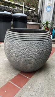 （分類：）位於 。 由 greenlee33 提交（商品編號 1364983053，圖片 1）。簡介： 。