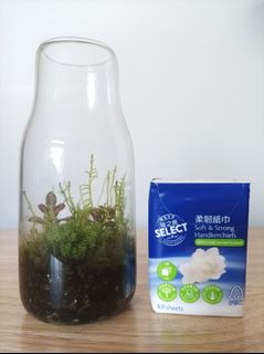 （分類：）位於 。 由 byg2020 提交（商品編號 1365217834，圖片 1）。簡介： 。