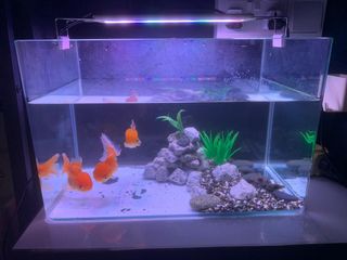 (Category: ) located in . Submitted by skyken881301197 (Listing ID 1365298484, Image 1). Description: .