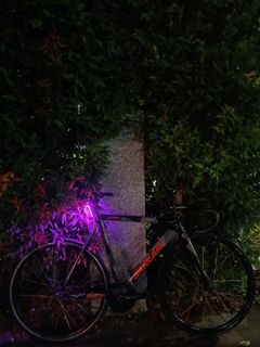 (Category: ) located in . Submitted by tccsaasxx (Listing ID 1365126392, Image 1). Description: .
