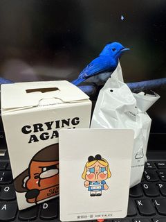 （分類：）位於 。 由 trueeagle.1808d0 提交（商品編號 1365385436，圖片 1）。簡介： 。