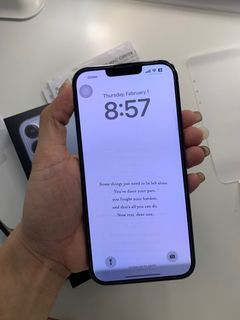 Iphone 13 Pro Max 256 gb