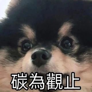 （分類：）位於 。 由 luven.wonie 提交（商品編號 1365398351，圖片 1）。簡介： 。