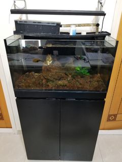 （分類：）位於 。 由 arlily 提交（商品編號 1365551317，圖片 1）。簡介： 。