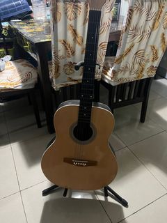 Guitar