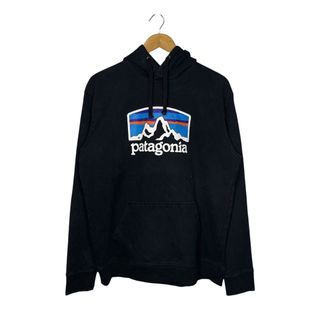 Patagonia Hoodie Jacket