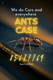 (Category: ) located in . Submitted by boomthepestmanagement (Listing ID 1365624837, Image 1). Description: .