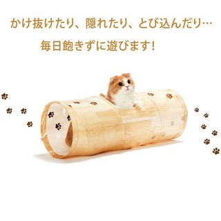 （分類：）位於 。 由 ragazze 提交（商品編號 1365677273，圖片 1）。簡介： 。