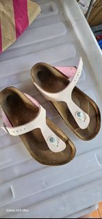 Birken stock