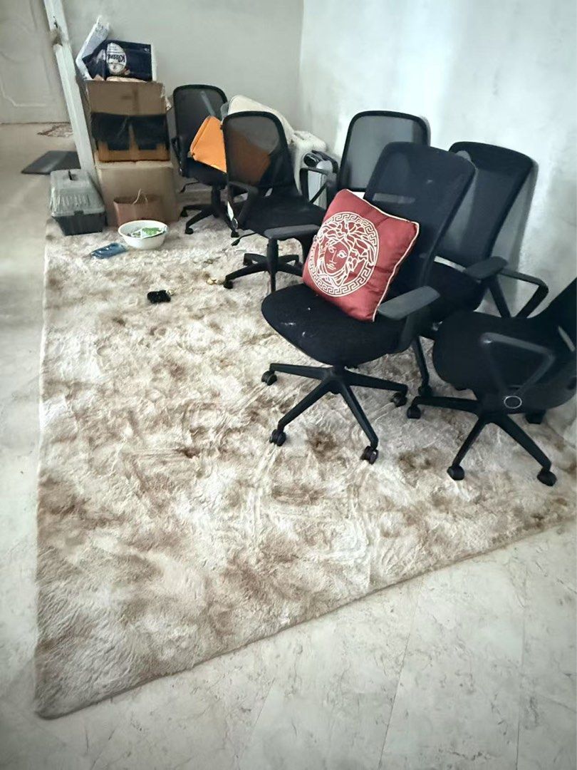 Carpet Rug