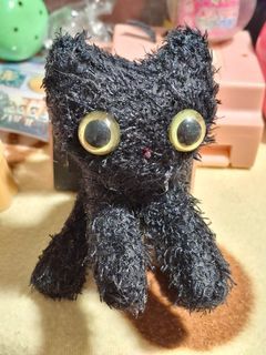 Cat, Cat, Cat!