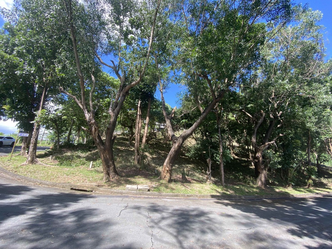 (Category: ) located in . Submitted by jep2poon (Listing ID 1365778307, Image 1). Description: .