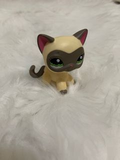 Fake lps toy,  European Cat or Siamese Cat