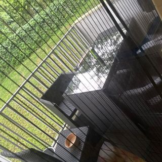 (Category: ) located in . Submitted by pigupigu__ (Listing ID 1365739178, Image 1). Description: .