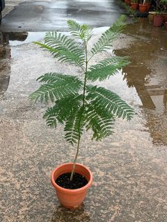 (Category: ) located in . Submitted by sghaworthiahabitat (Listing ID 1365804208, Image 1). Description: .