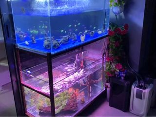 (Category: ) located in . Submitted by purplepusher (Listing ID 1365983050, Image 1). Description: .