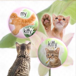 fr.toumei’s brat inspired kitty cat kiffy pins (for pre-order)  | anik anik trinkets button pins art