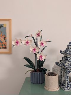 （分類：）位於 。 由 rachelypy 提交（商品編號 1365972850，圖片 1）。簡介： 。
