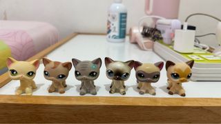 LPS Shorthair cat main 5s