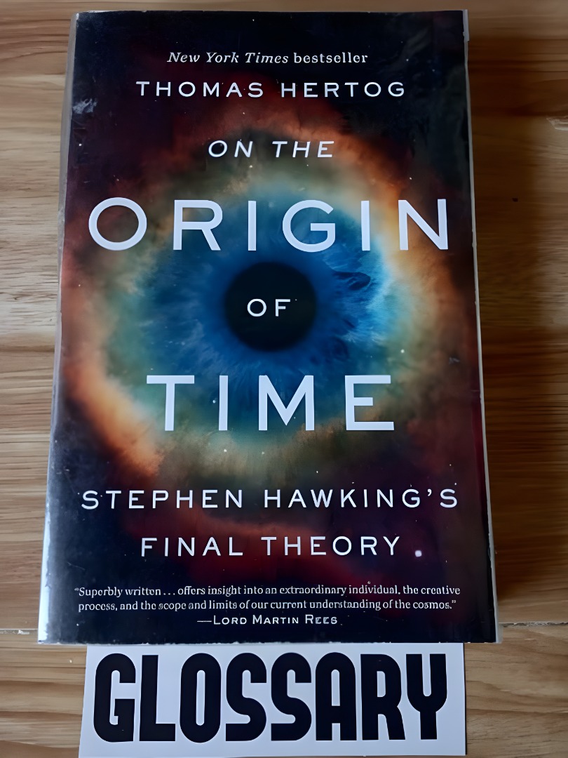 On the Origin of Time by Thomas Hertog - ONLY PHP 295!, Hobbies & Toys ...