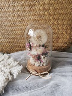 (Category: ) located in . Submitted by wildbotanics (Listing ID 1365936494, Image 1). Description: .