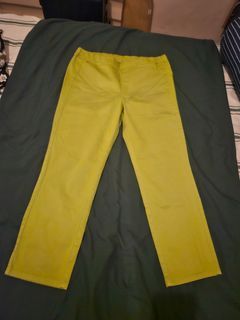 Uniqlo green pants