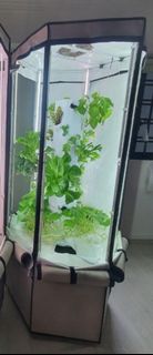 (Category: ) located in . Submitted by lilac_wang (Listing ID 1366109151, Image 1). Description: .