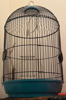 (Category: ) located in . Submitted by leonalogan (Listing ID 1366035676, Image 1). Description: .