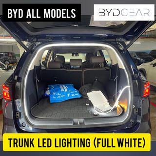 BYD M6 Collection item 1