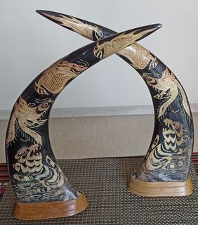 (Category: ) located in . Submitted by pmlks (Listing ID 1366039863, Image 1). Description: .