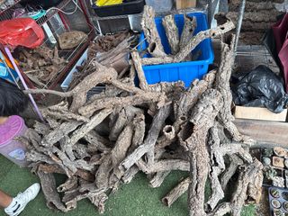 (Category: ) located in . Submitted by humblefarm (Listing ID 1366031446, Image 1). Description: .