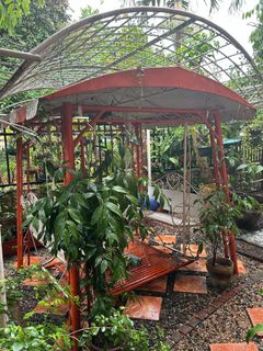 (Category: ) located in . Submitted by vjl21 (Listing ID 1366081341, Image 1). Description: .