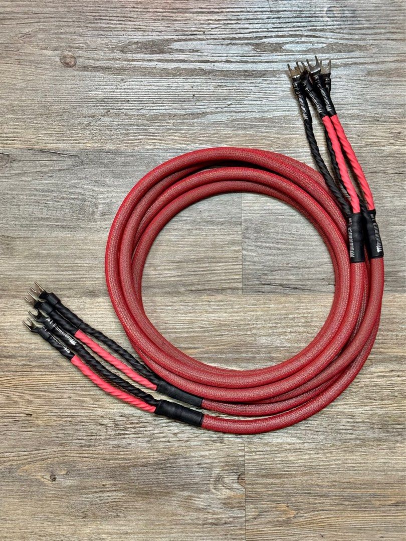 Audiomica Erys Excellence Speaker Cable (Category: Other Audio Equipment) located in Singapore. Submitted by rayrda (Listing ID 1366295633, Image 1). Description: Audiomica Erys Excellence Speaker Cable - 2.5m pair with spades - In excellent condition Reviews for reference: https://www.hifipig.com/audiomica-erys-excellence-interconnect-and-celes-excellence-loudspeaker-cables/ All pre-owned / trade-in items are checked and tested before putting up