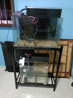 (Category: ) located in . Submitted by puva13 (Listing ID 1366305509, Image 1). Description: .