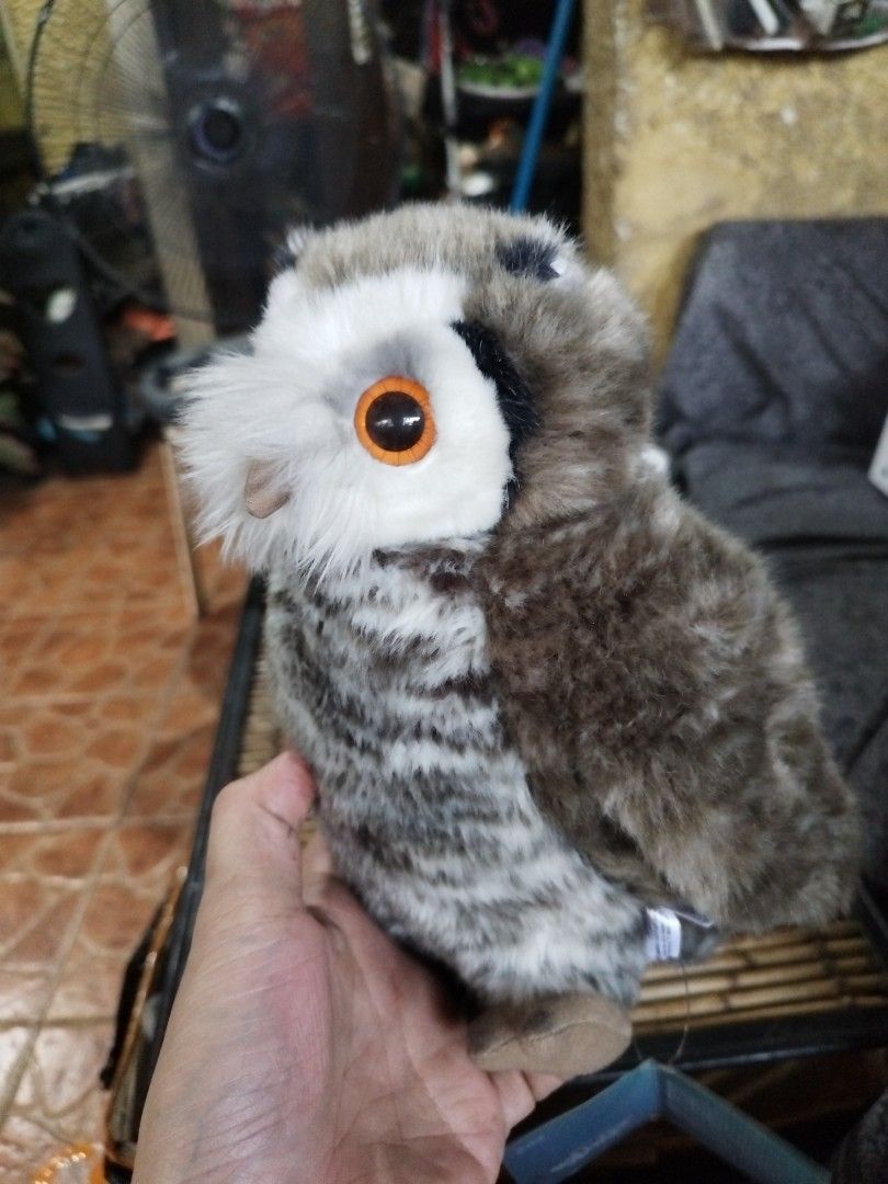Harry Potter Pigwidgeon (Category: Figurines & Statues) located in Marikina City. Submitted by chadxiii (Listing ID 1366255374, Image 3). Description: Harry Potter Pigwidgeon Universal Studios japan Wizarding World gcash payments location marikina lalamove or jnt.